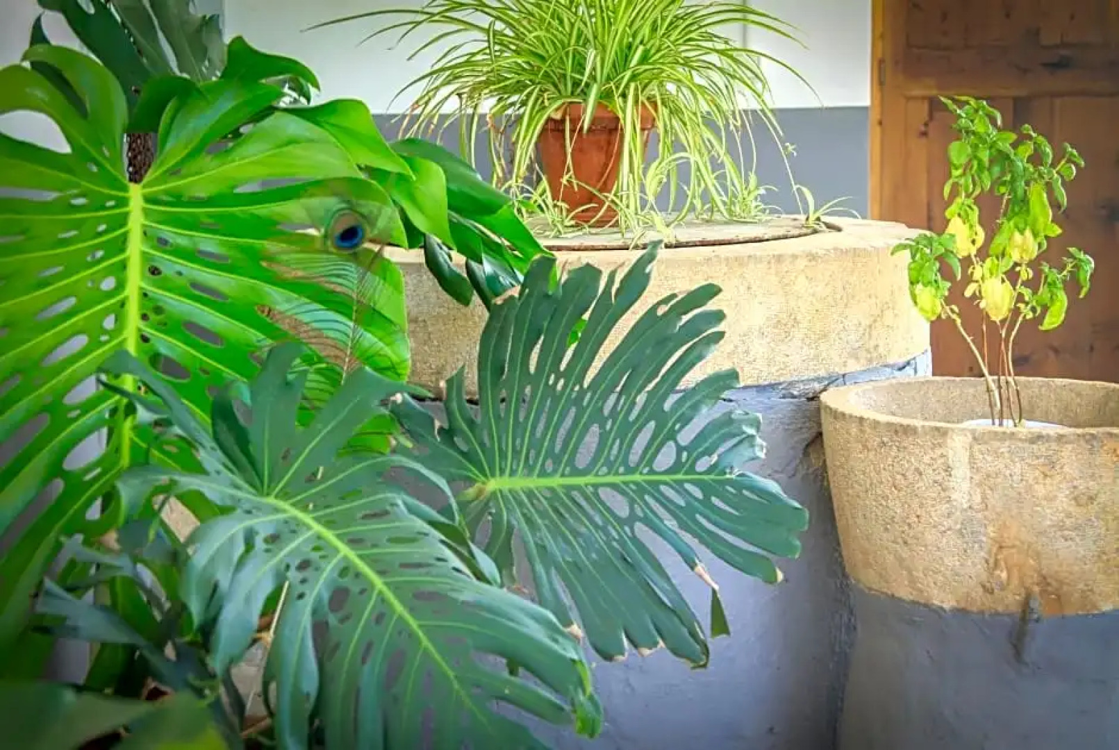 Sa Fita Backpackers - Albergue Juvenil