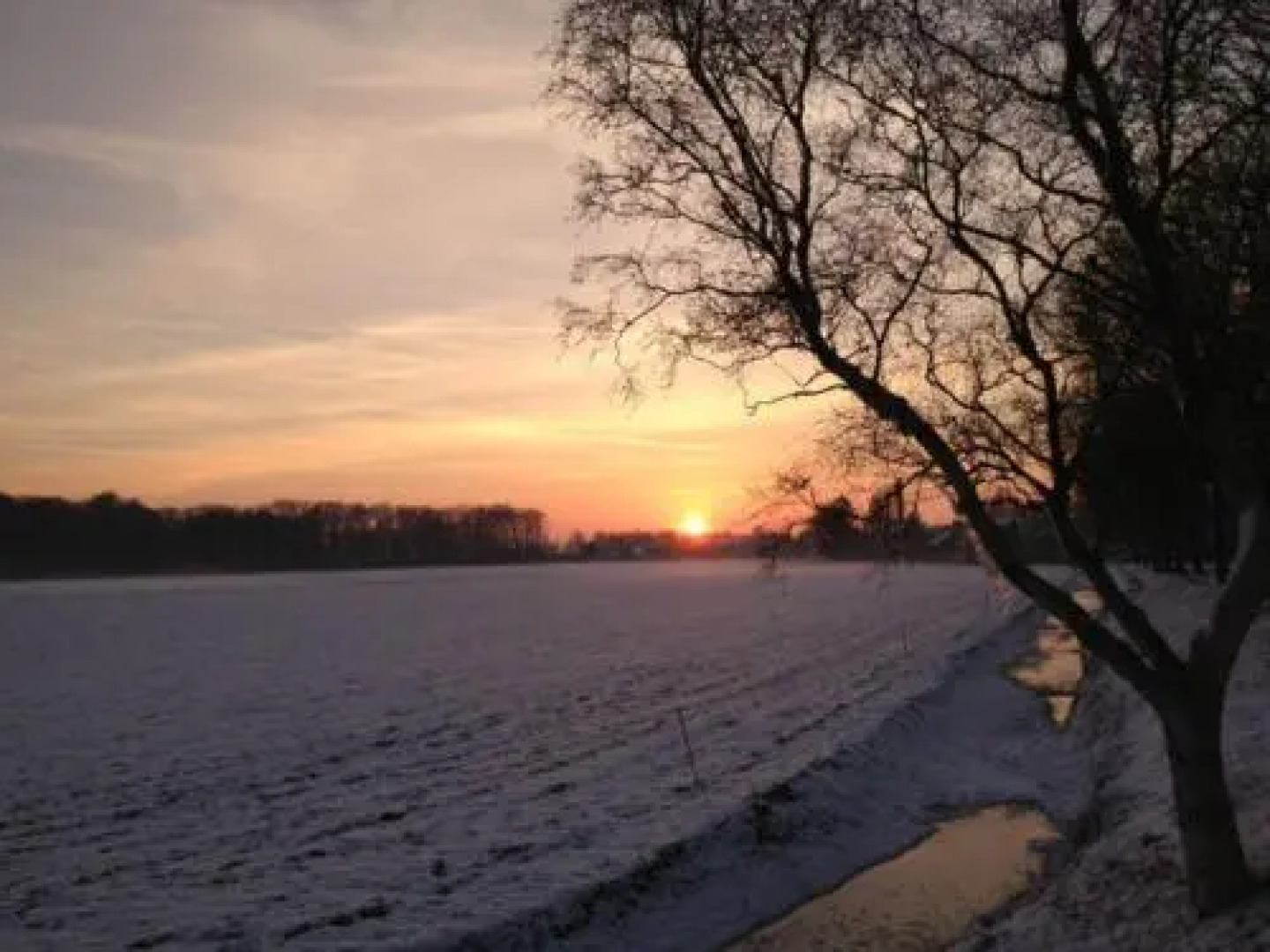 Artland Bed & Breakfast