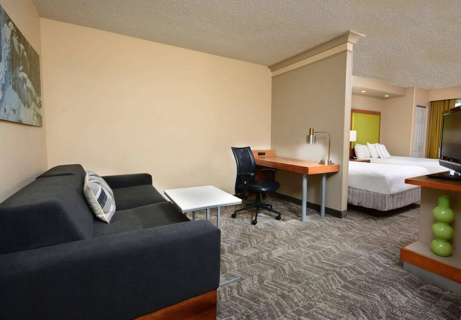 SpringHill Suites by Marriott Lynchburg Airport/University Area