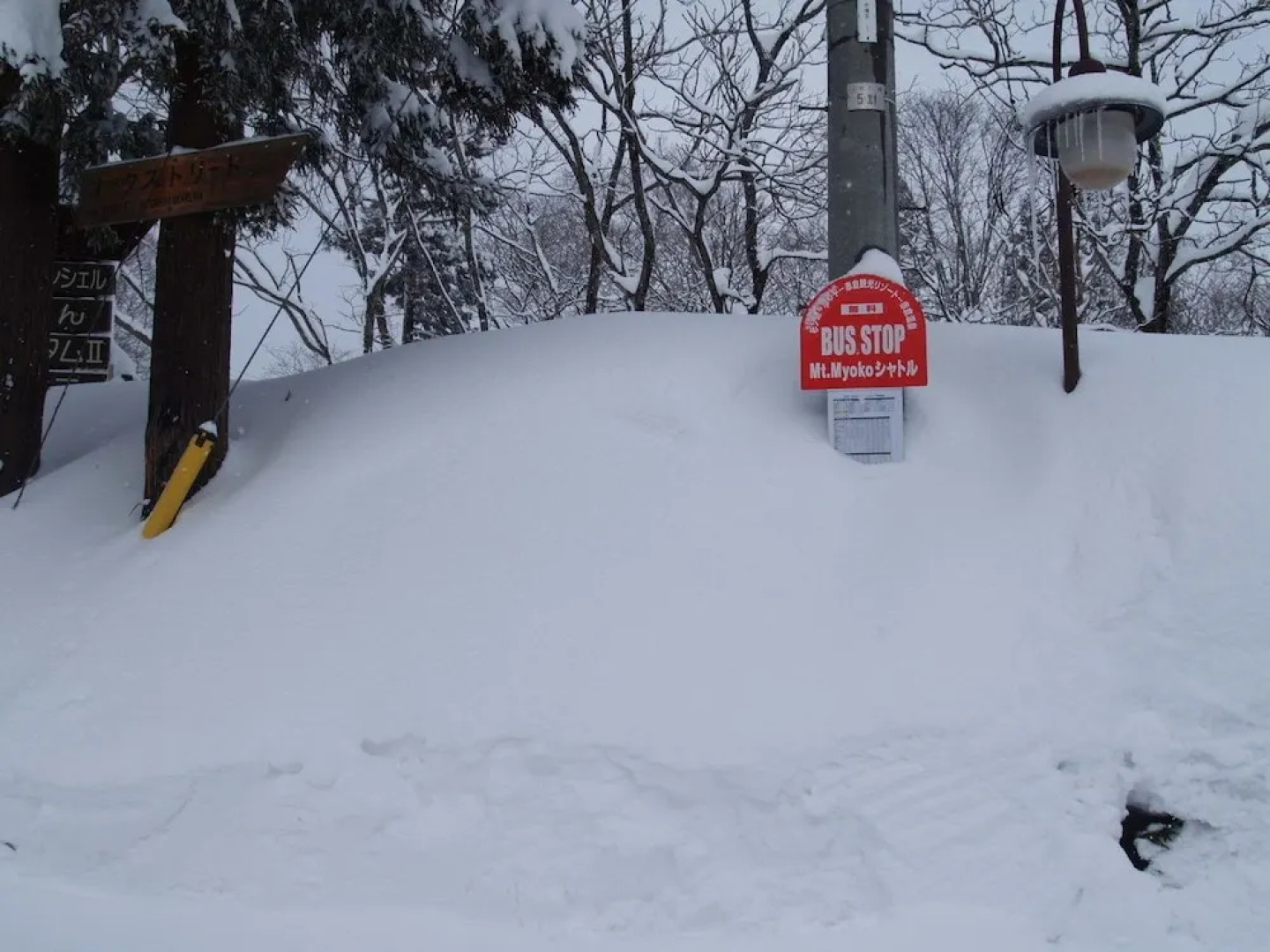 Woody House Kazamidori