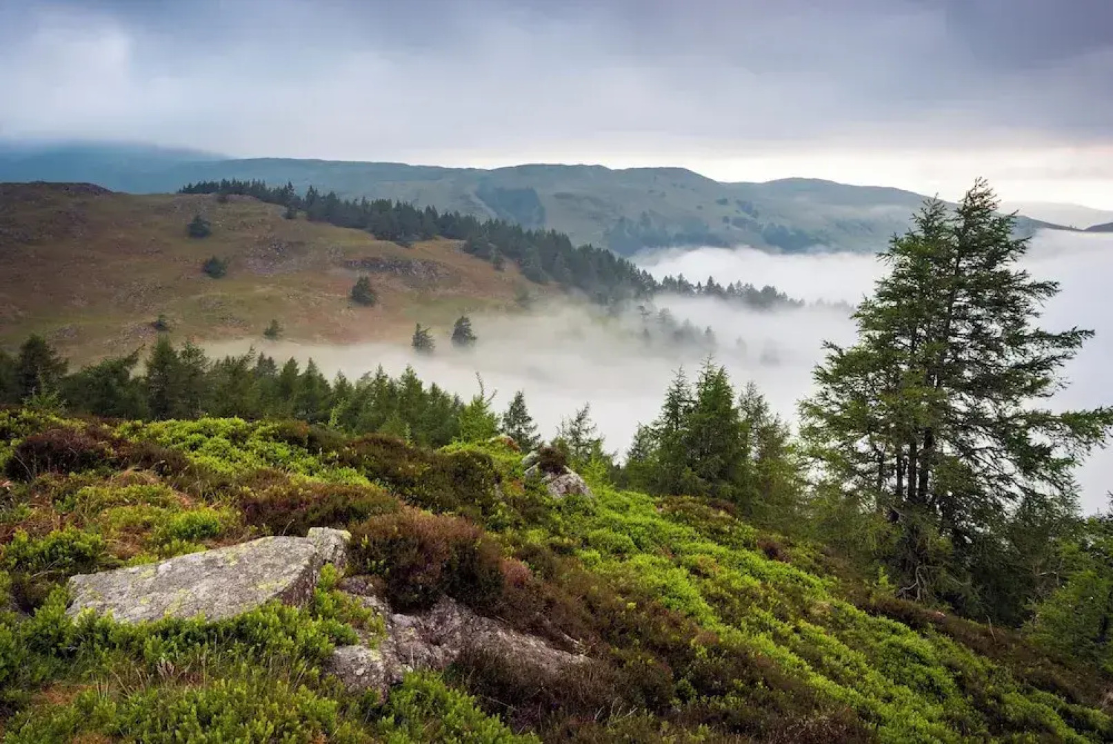 1863 Restaurant with Rooms