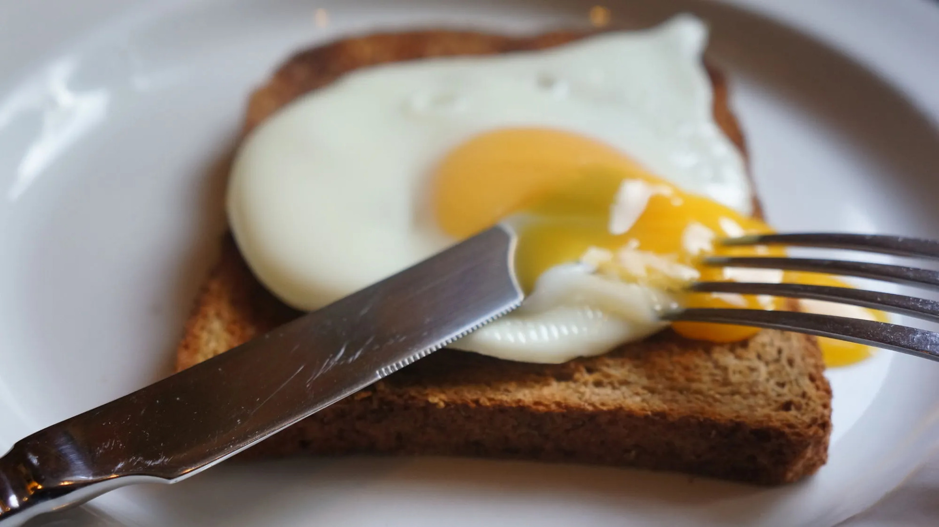 The Lawn Guest House