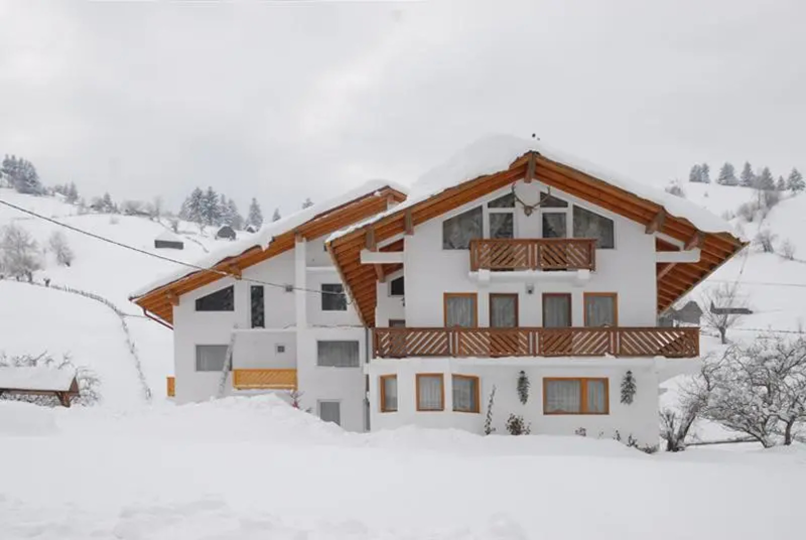 Pensiunea Padurea Verde