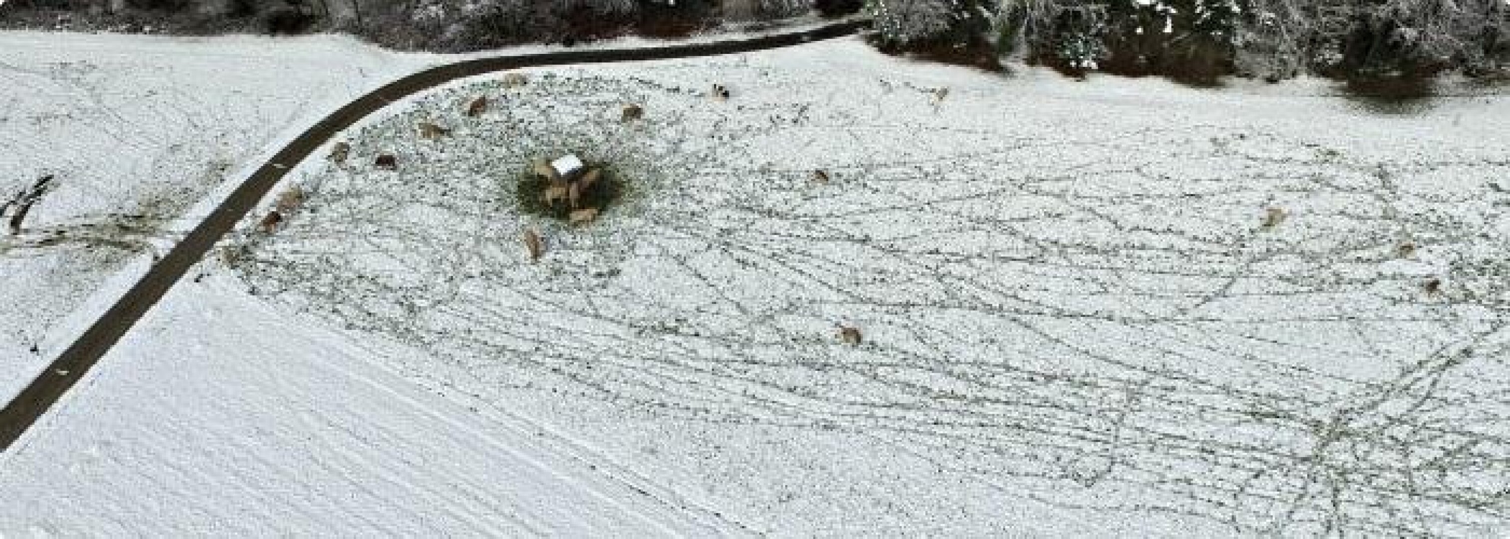 Chambres dhôtes chez Pierrot et Flo