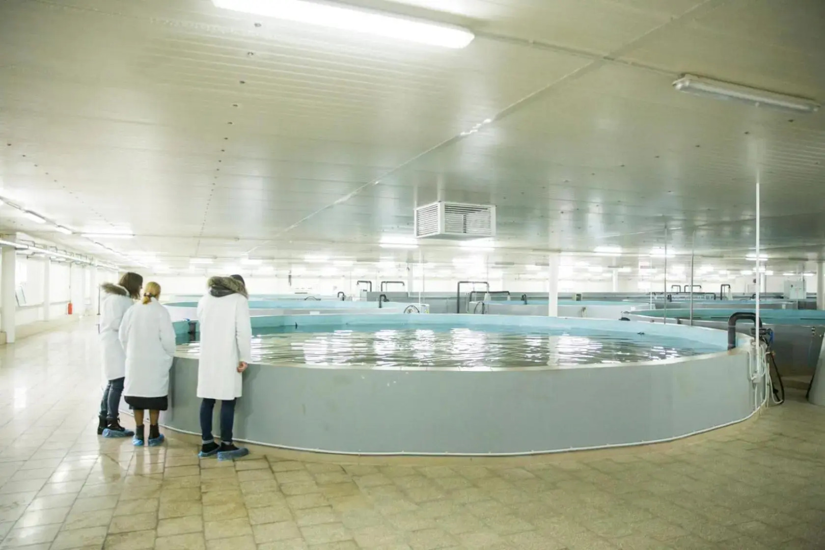 Apartment near KVINT