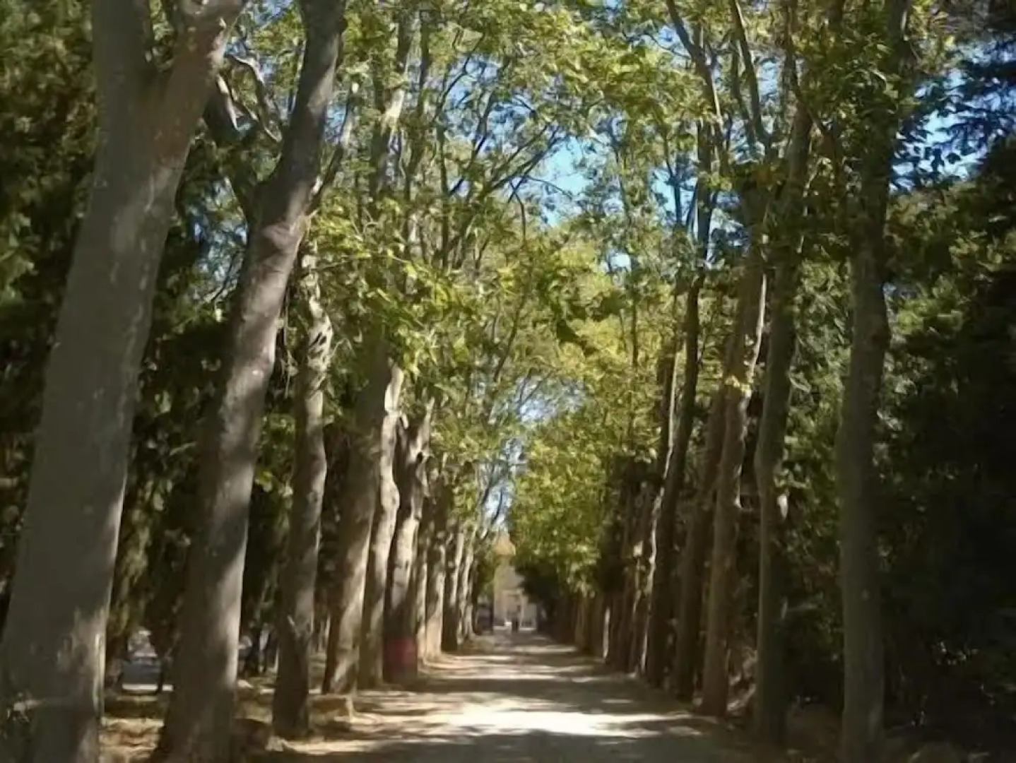 Gîtes Pech-céleyran