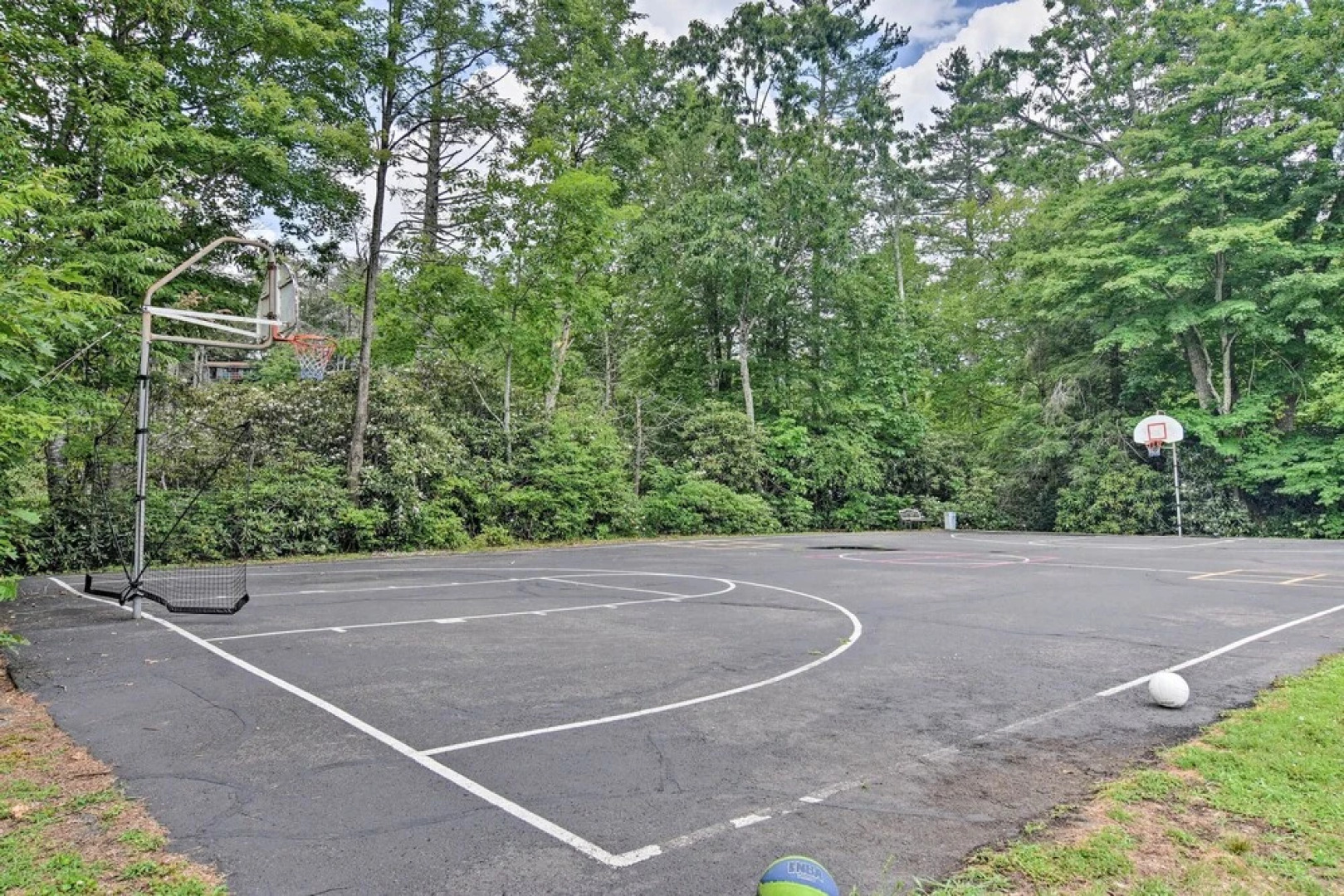 Bluebird Cottage in Newland Near Hiking & Skiing