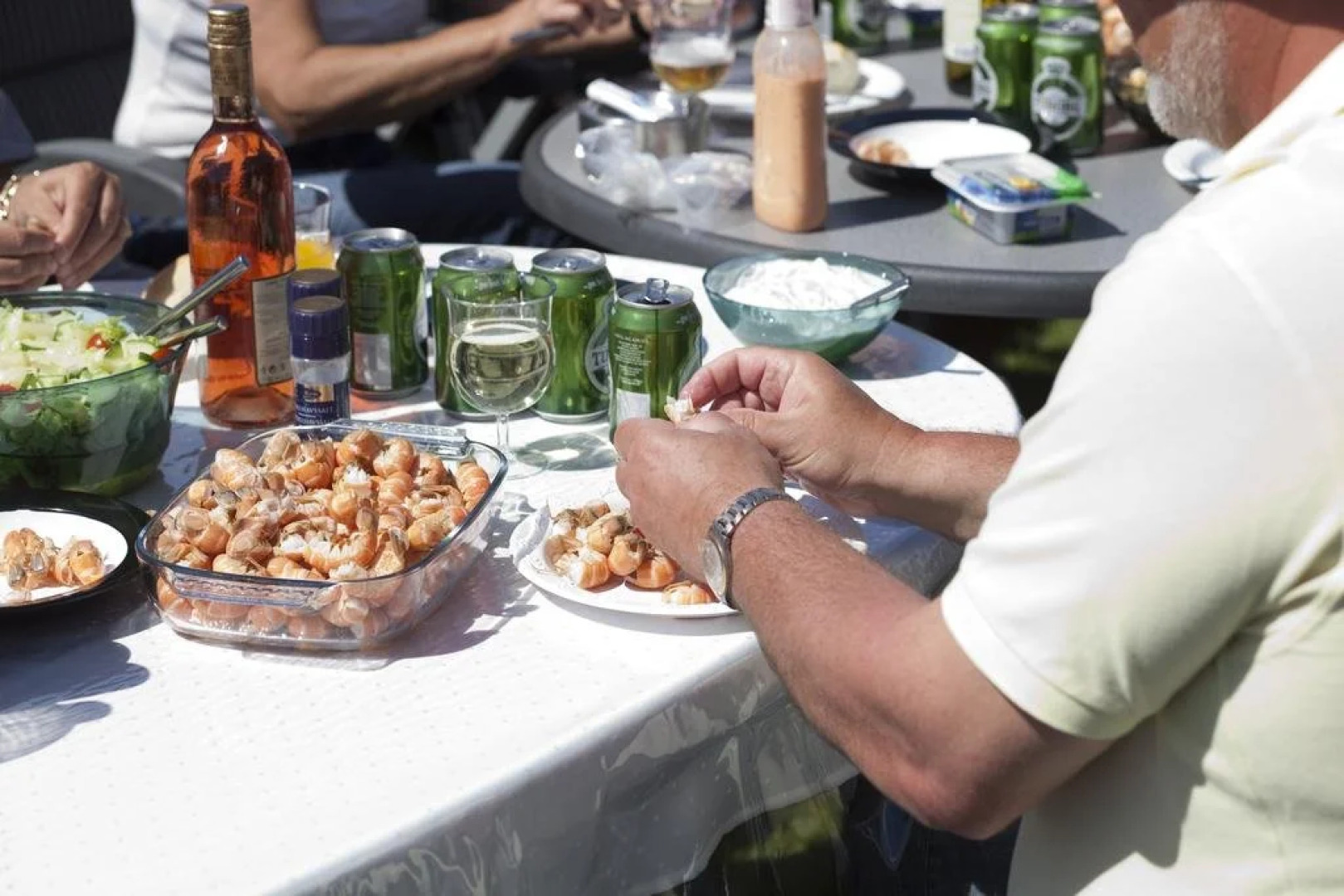 Råbjerg Mile Camping & Cottages