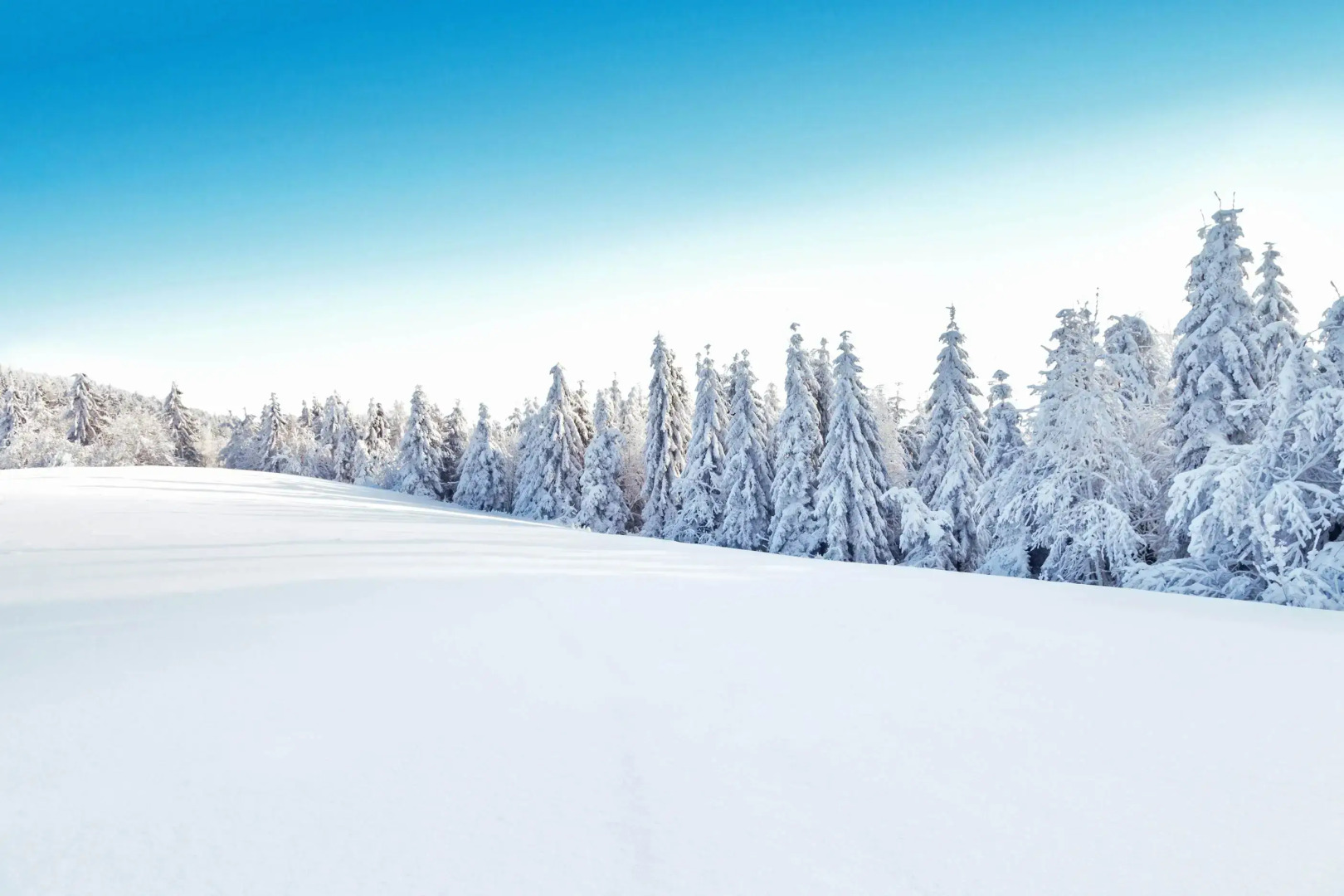 Bella Italia Dolomiti