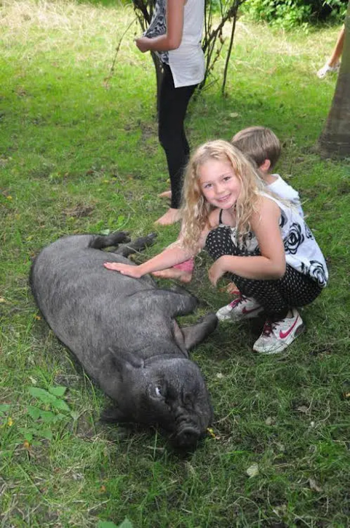 Brittons Farm Estate