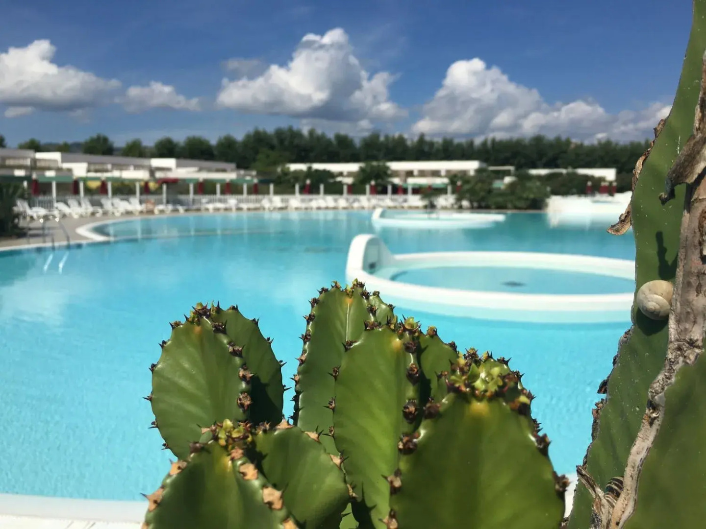 Nyce Club Sunbeach Resort