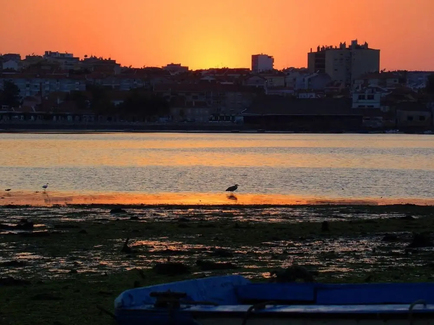 Beautiful 1-bed Apartment in Aldeia de Paio Pires