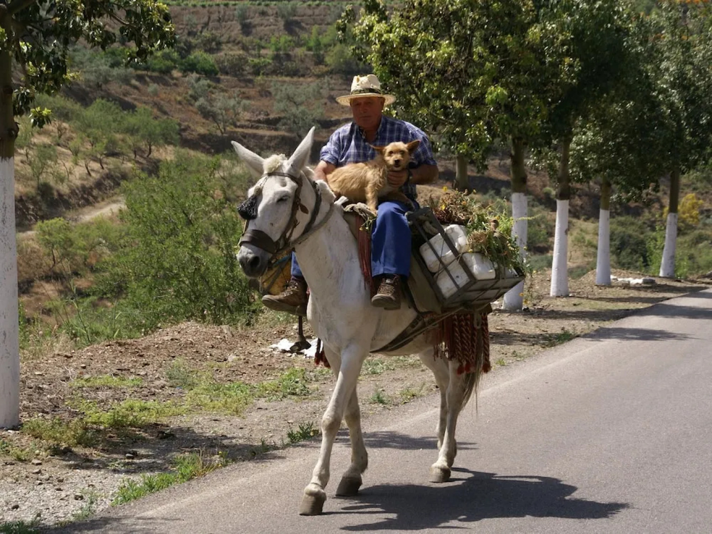 Beautiful Detached Villa Near Arenas With Delightful Terrace and Stunning View