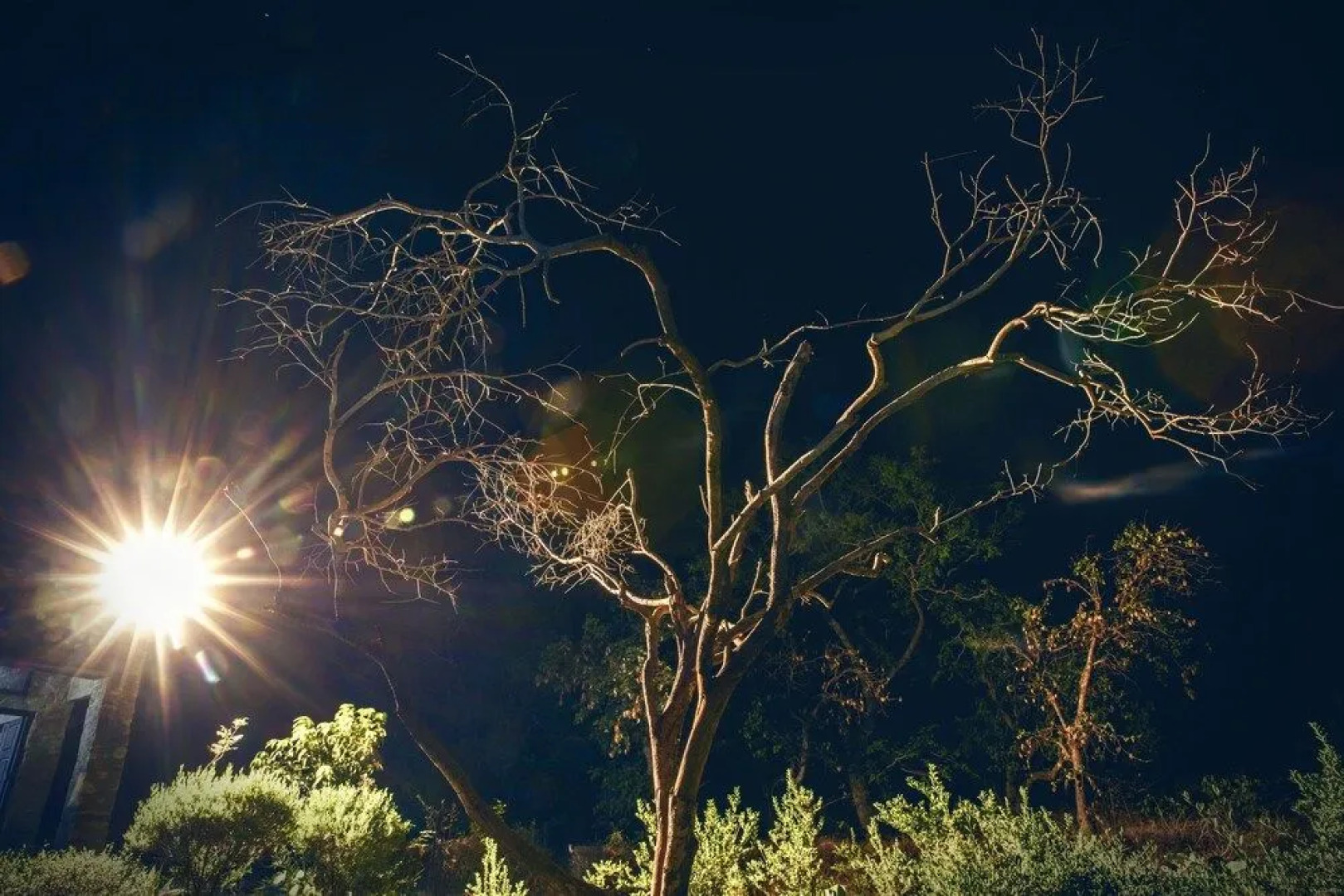 Ghanerao Jungle Lodge