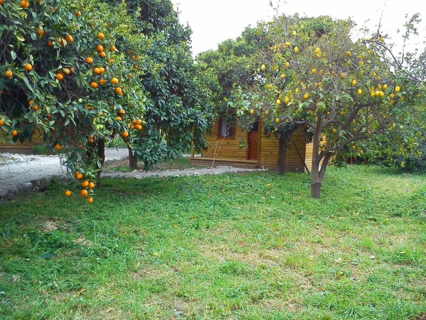 Yesil Bahce Bungalow - Ahsap Evler