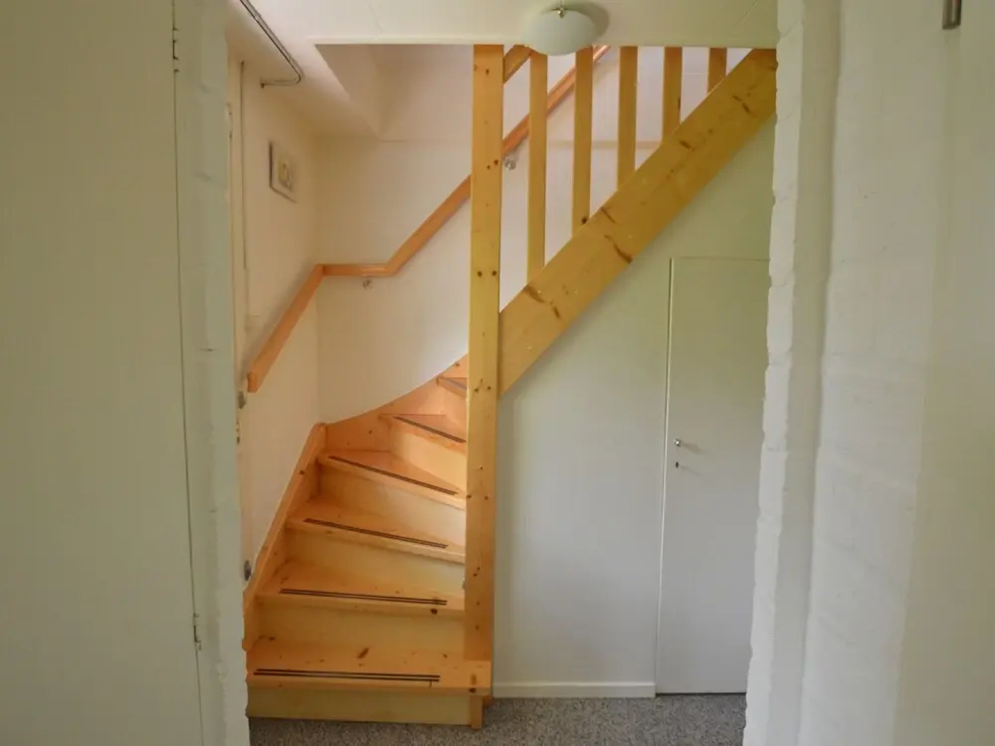 Cozy Cottage With Large Garden in Nature Reserve Dwingelderveld