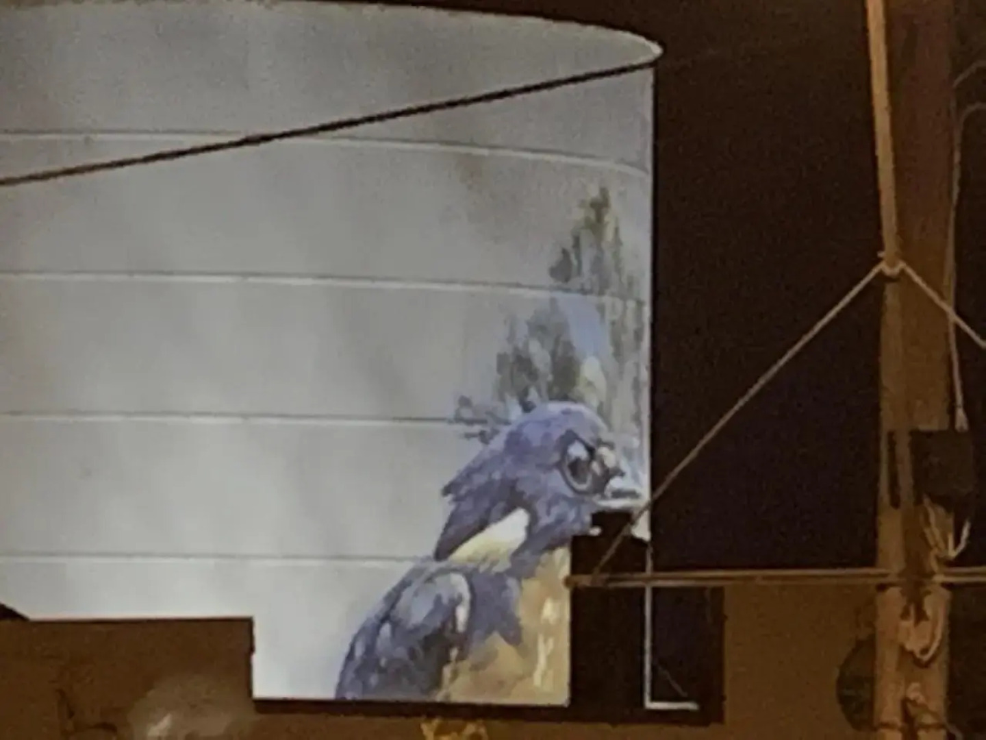 Rochester Wine Tavern