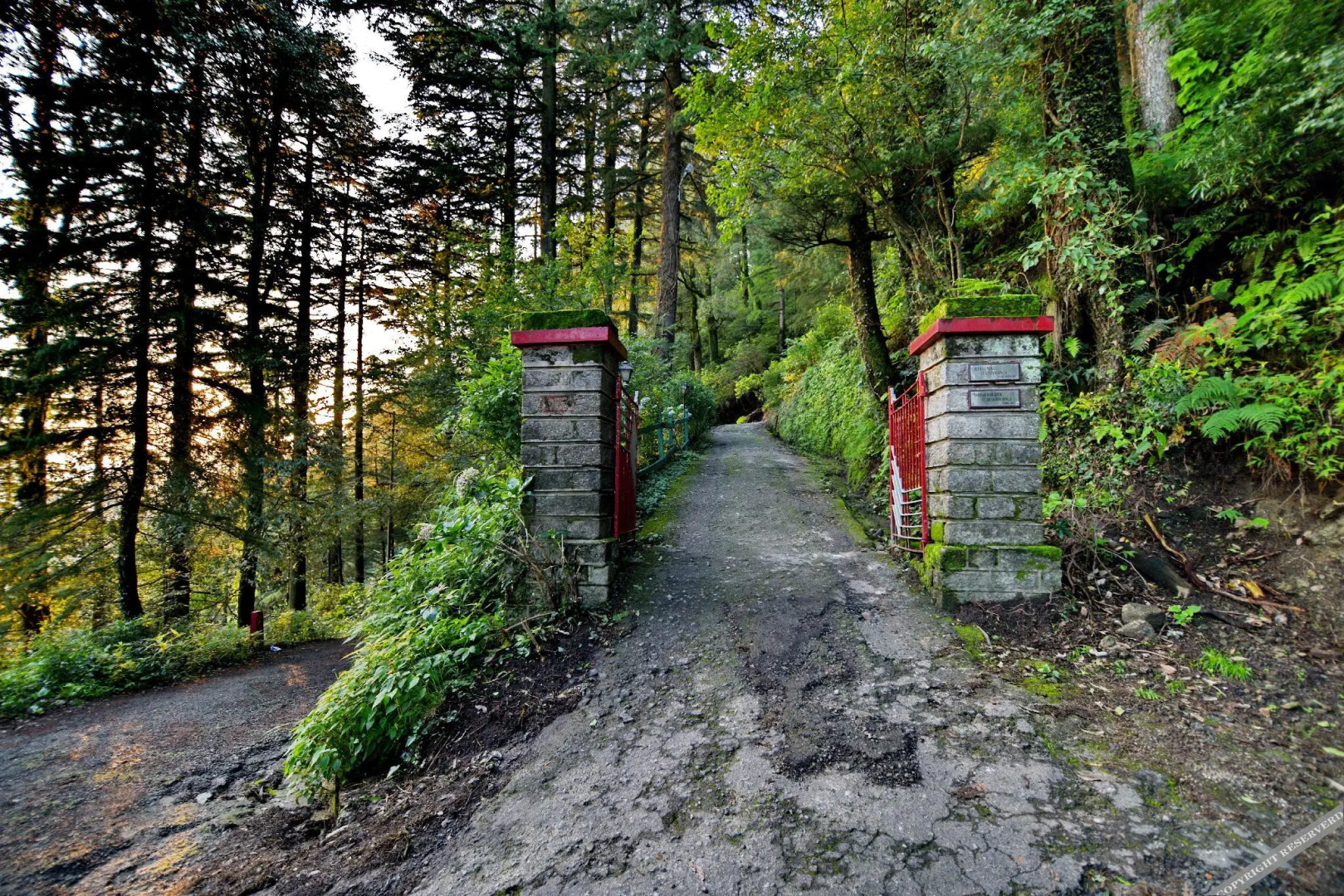 Brij Villa, Dalhousie - A Colonial Luxury Retreat