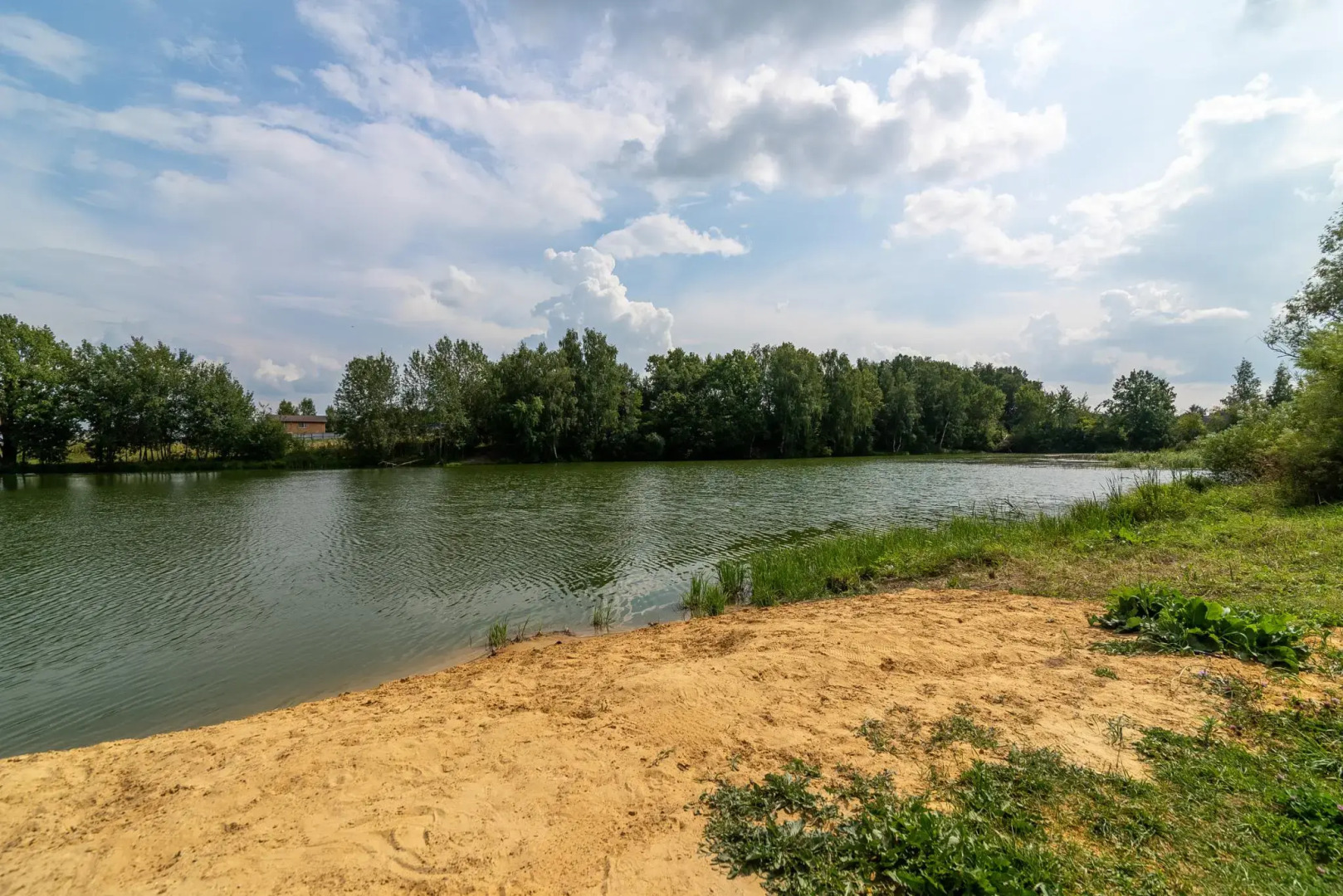 Skandi Белка (Сканди)