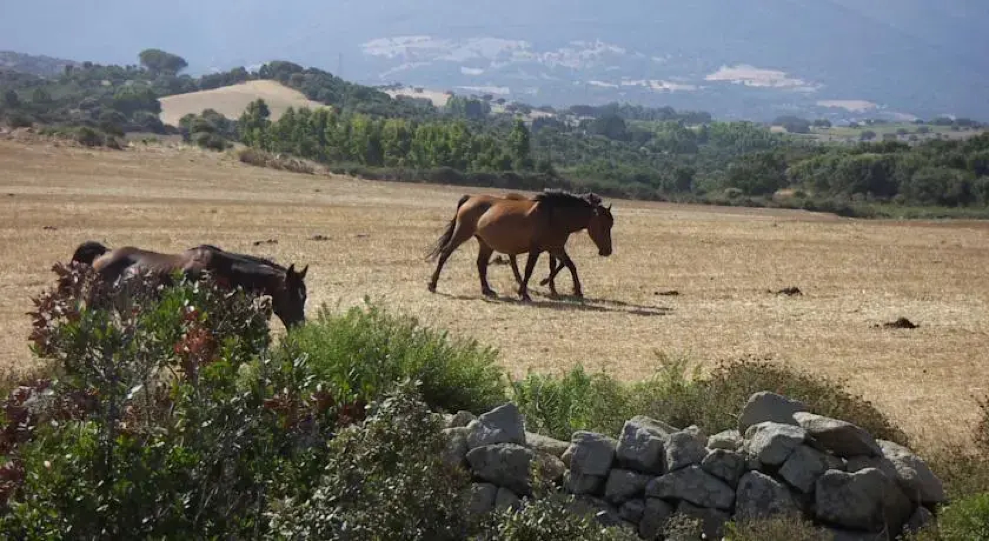 Turismo Rurale Cortes