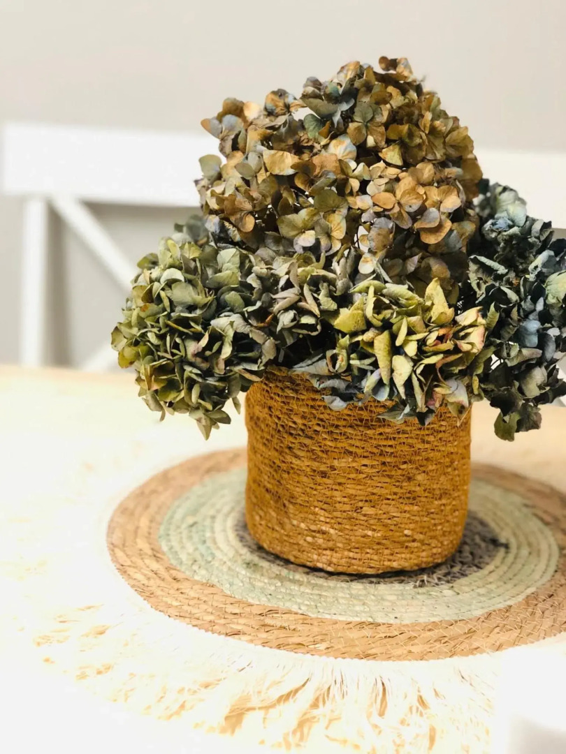 Peregrina Blue Family Suite