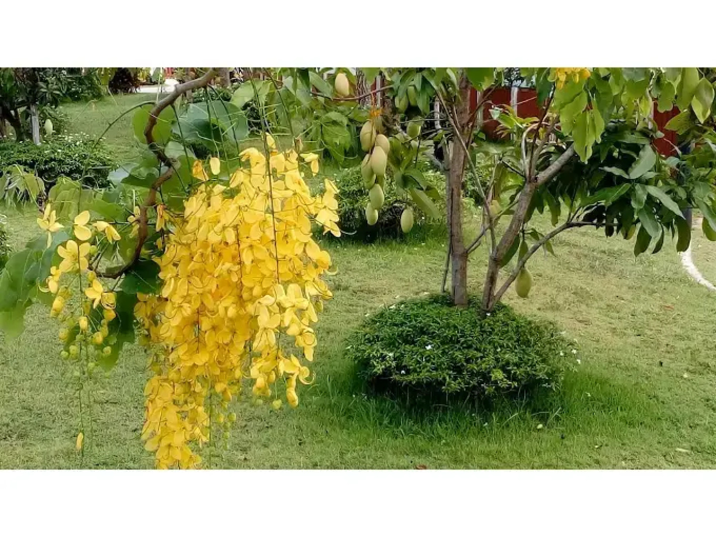 Suanson Paragon Green Resort