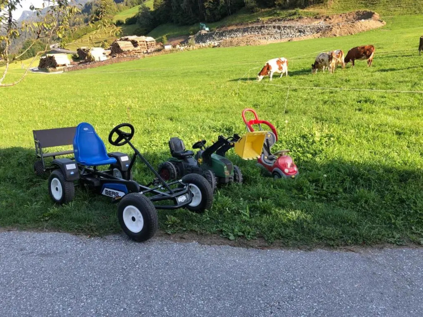 Rieserhof/Fam. Meißnitzer