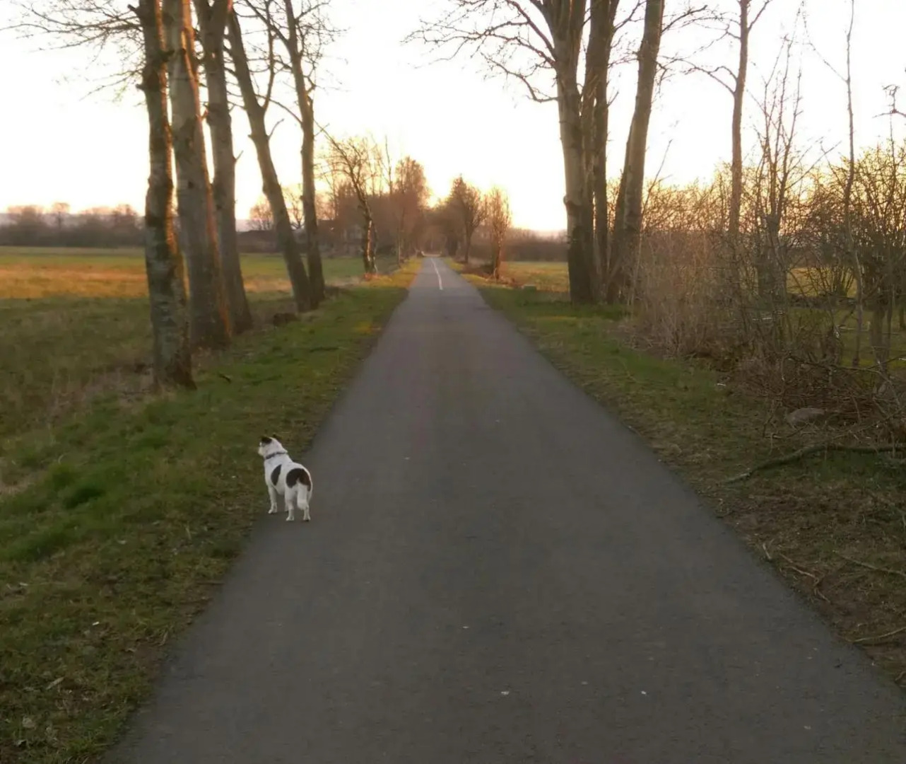 Rya B & -B Tollarp lägenhetsboende