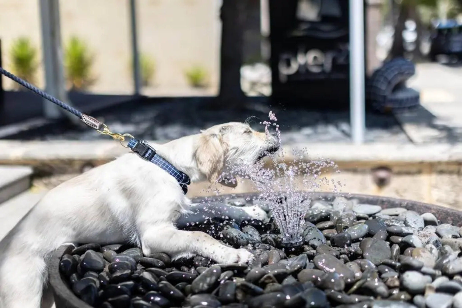 Pier 21 Riverside Apartment Hotel