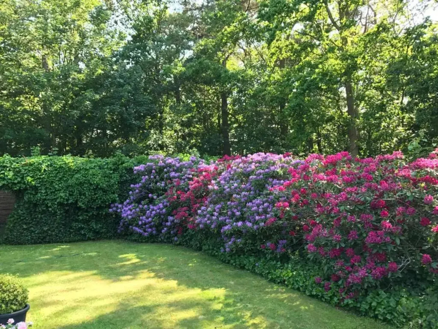 Trouville Bed & Breakfast