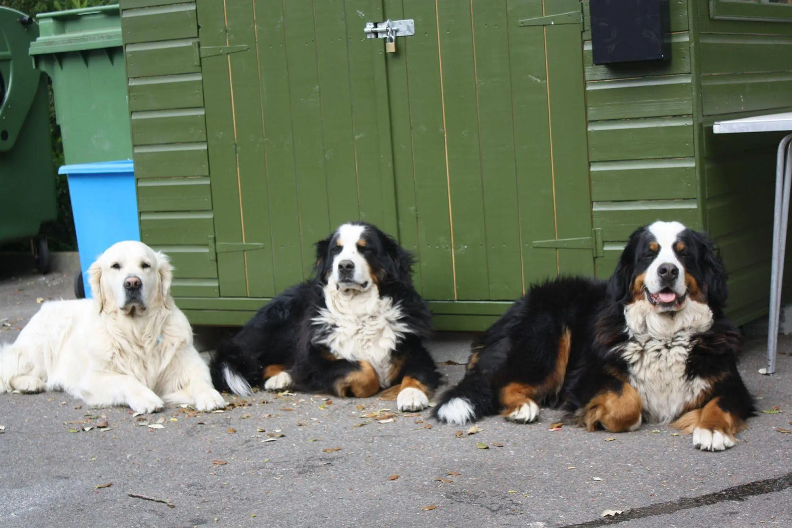 Westhill Country Hotel