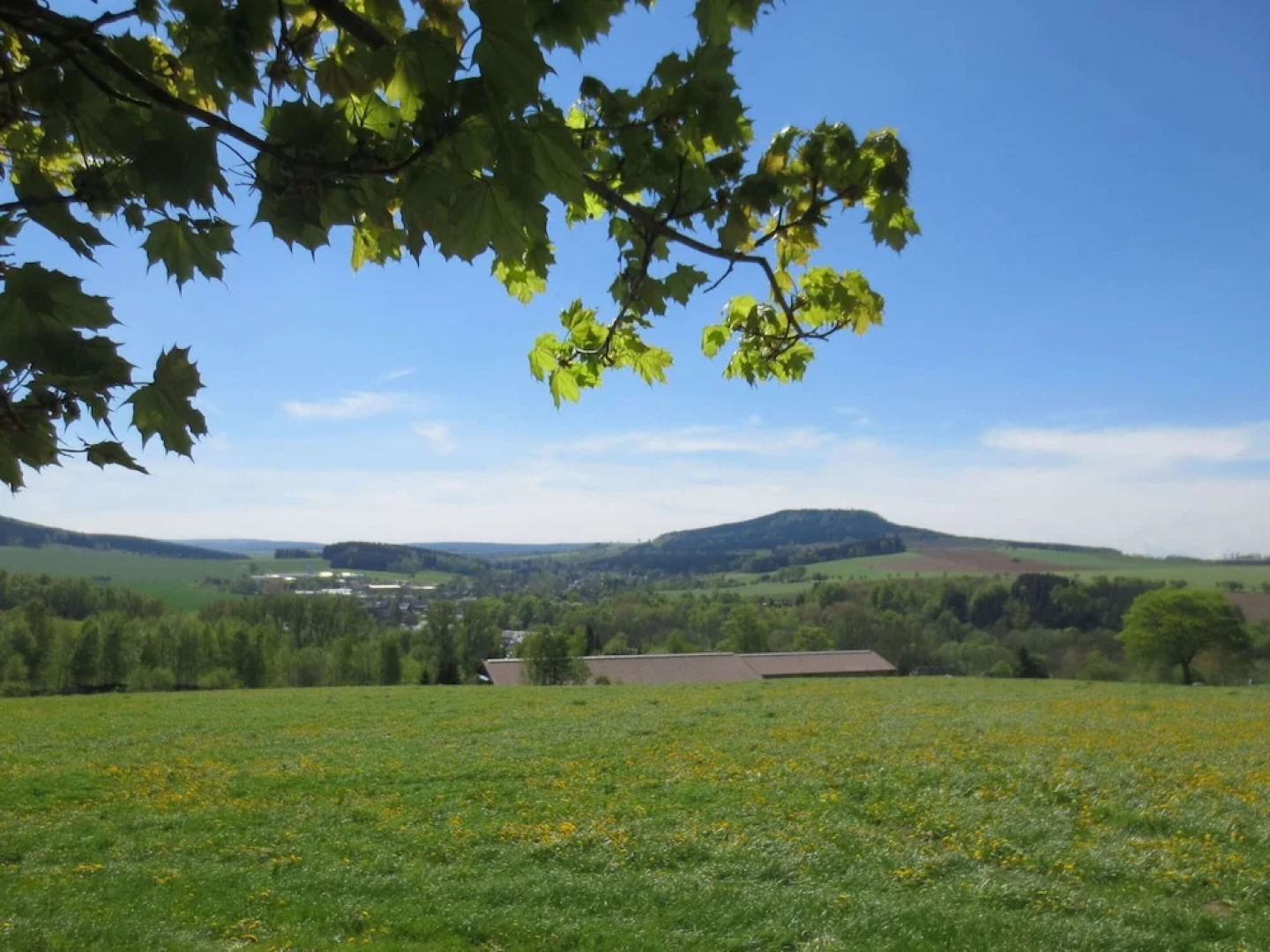 Apartment in Saxony With Terrace