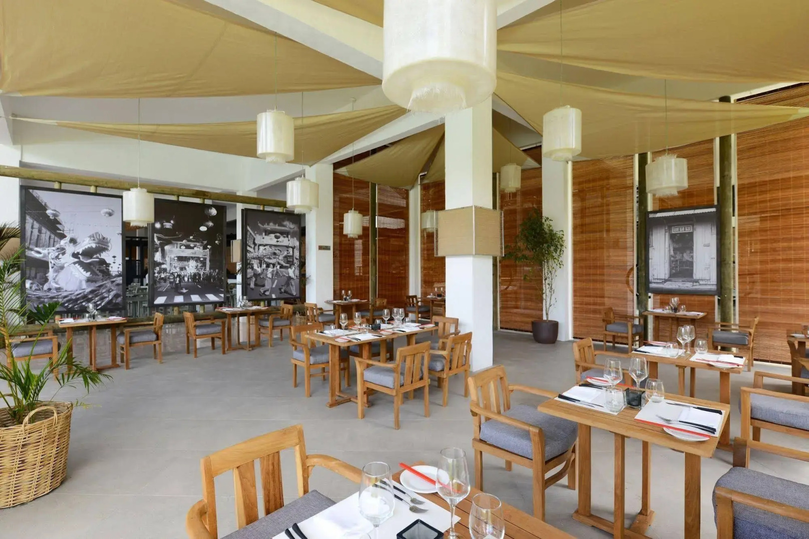 The Ravenala Attitude