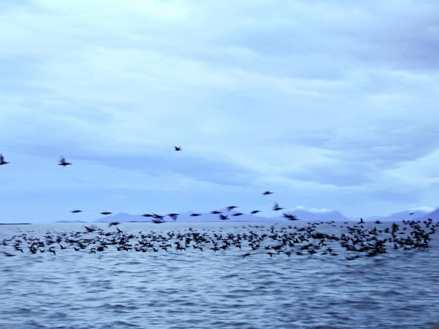 10 Person Holiday Home in Fjørtoft