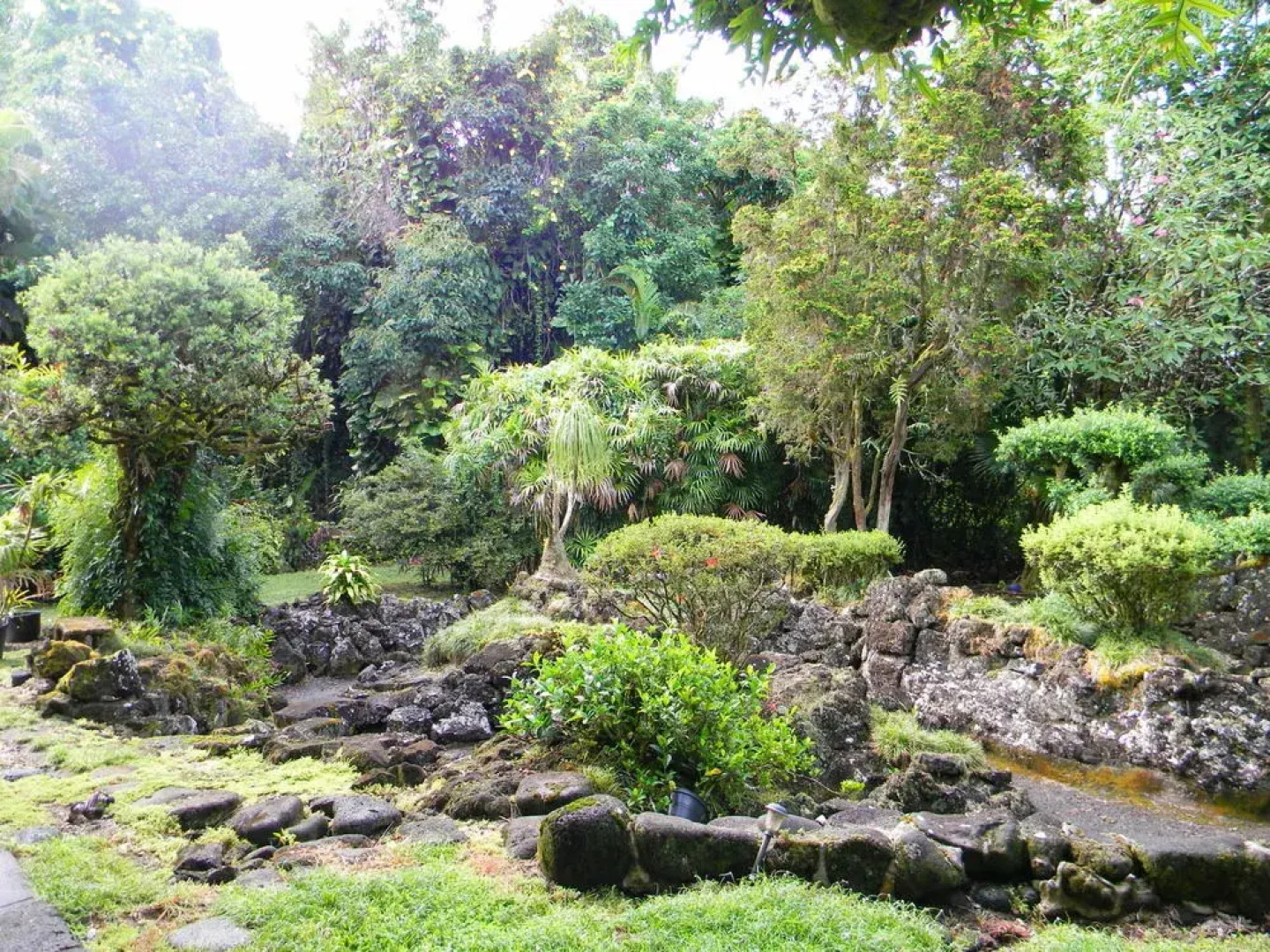 Maureens Bed and Breakfast