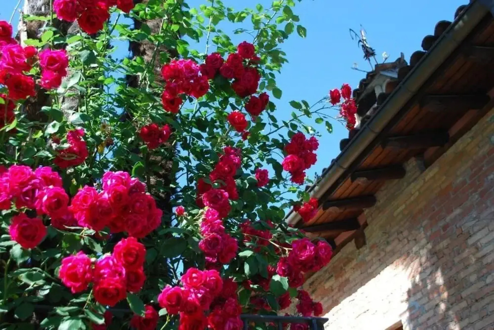 Hotel & Hostel Montarina