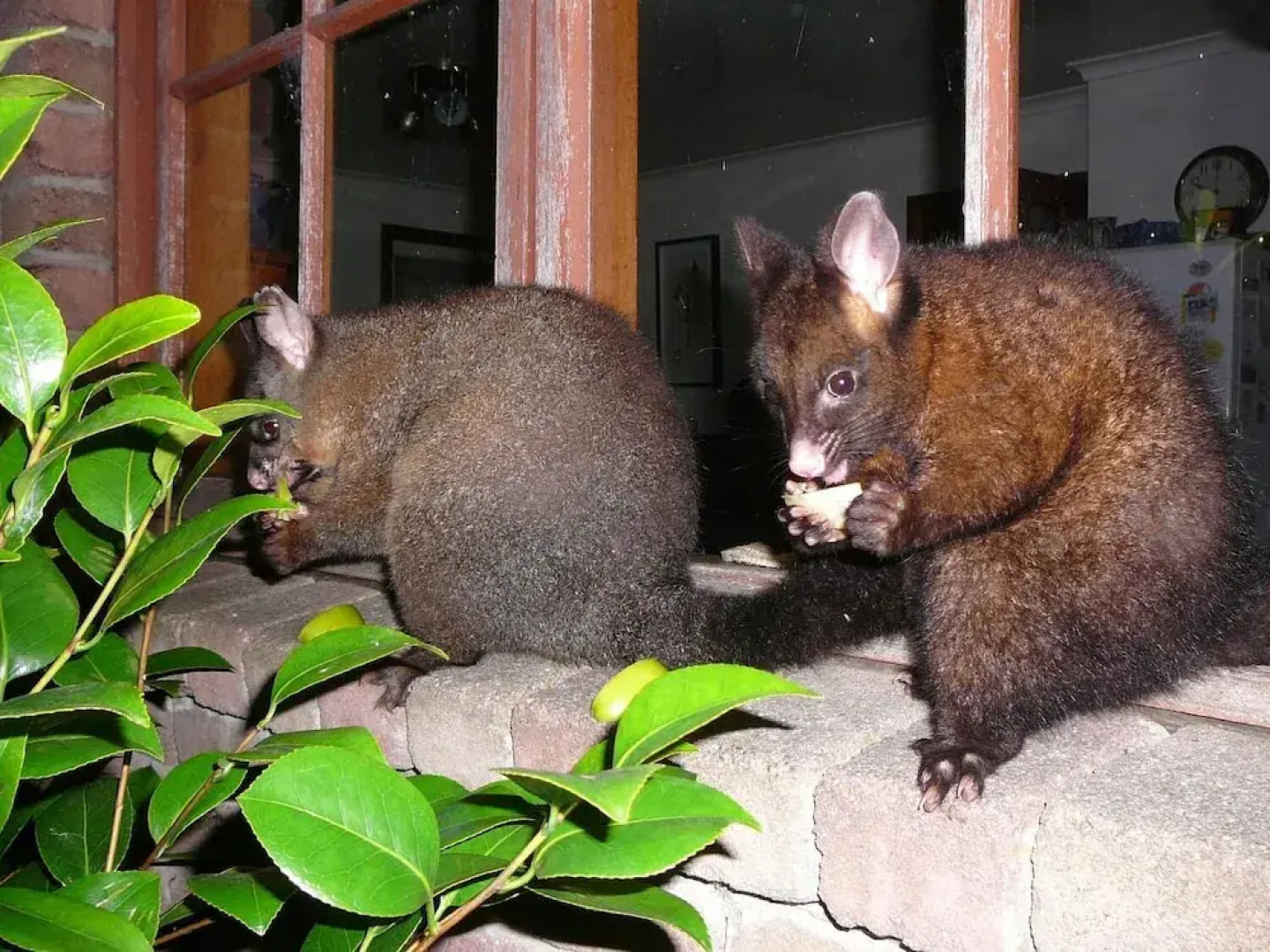 Wind Song Bed and Breakfast