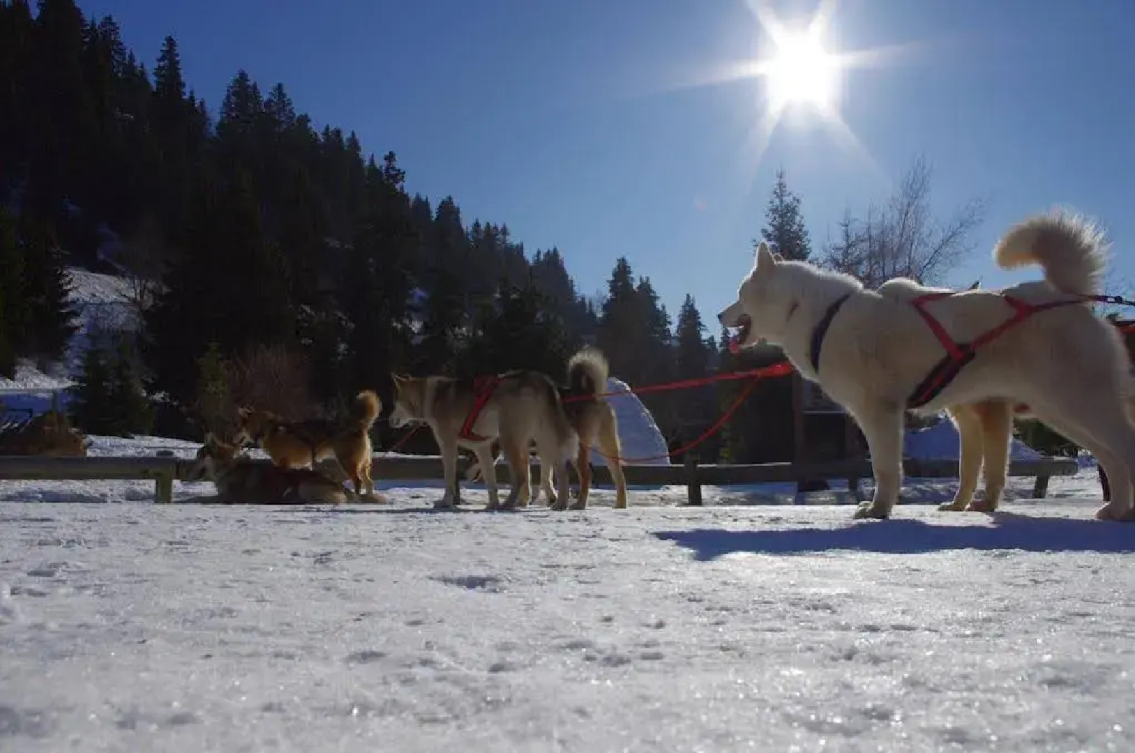 Auberge Restaurant du Virage