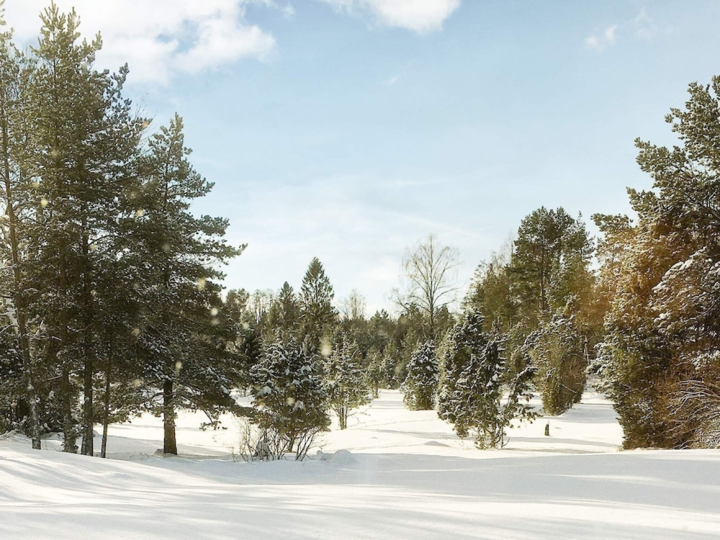 7 Person Holiday Home in Graso