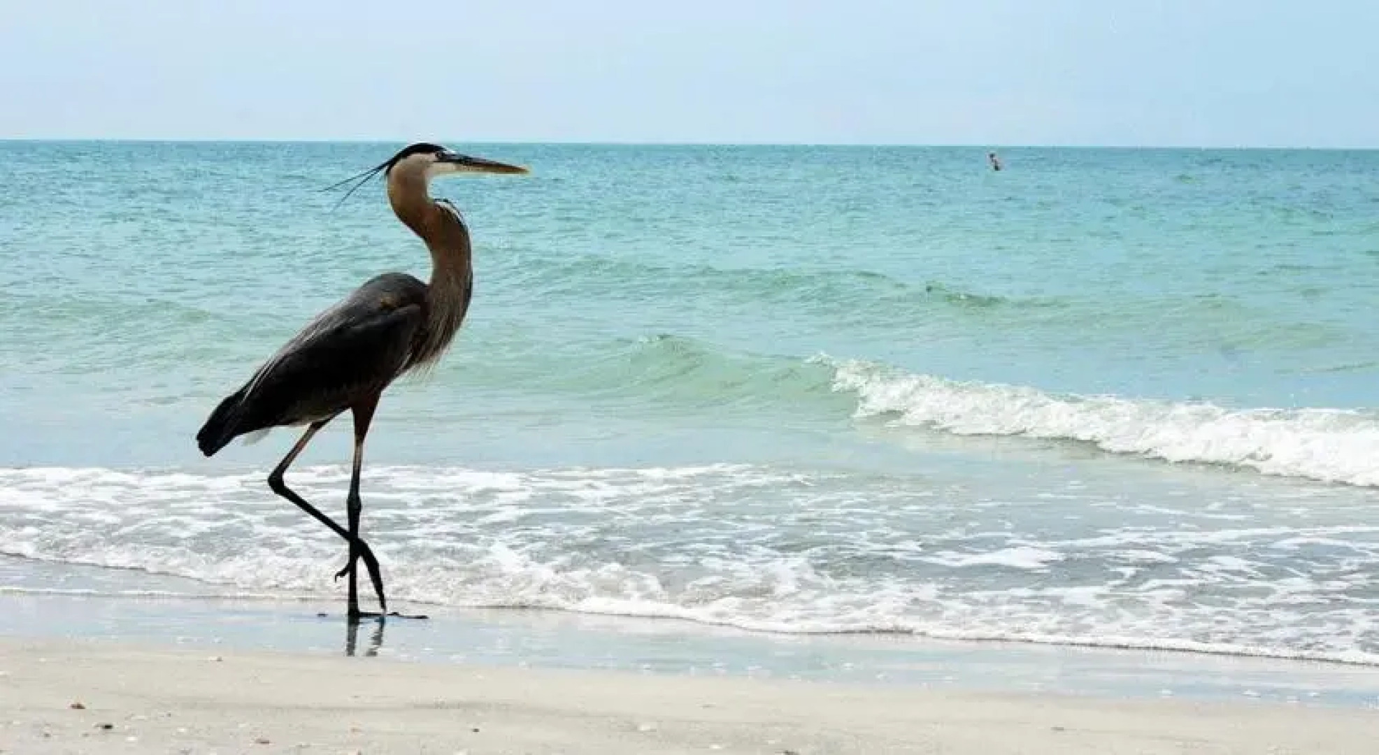 Hamilton House by JC Resort Vacation Rentals