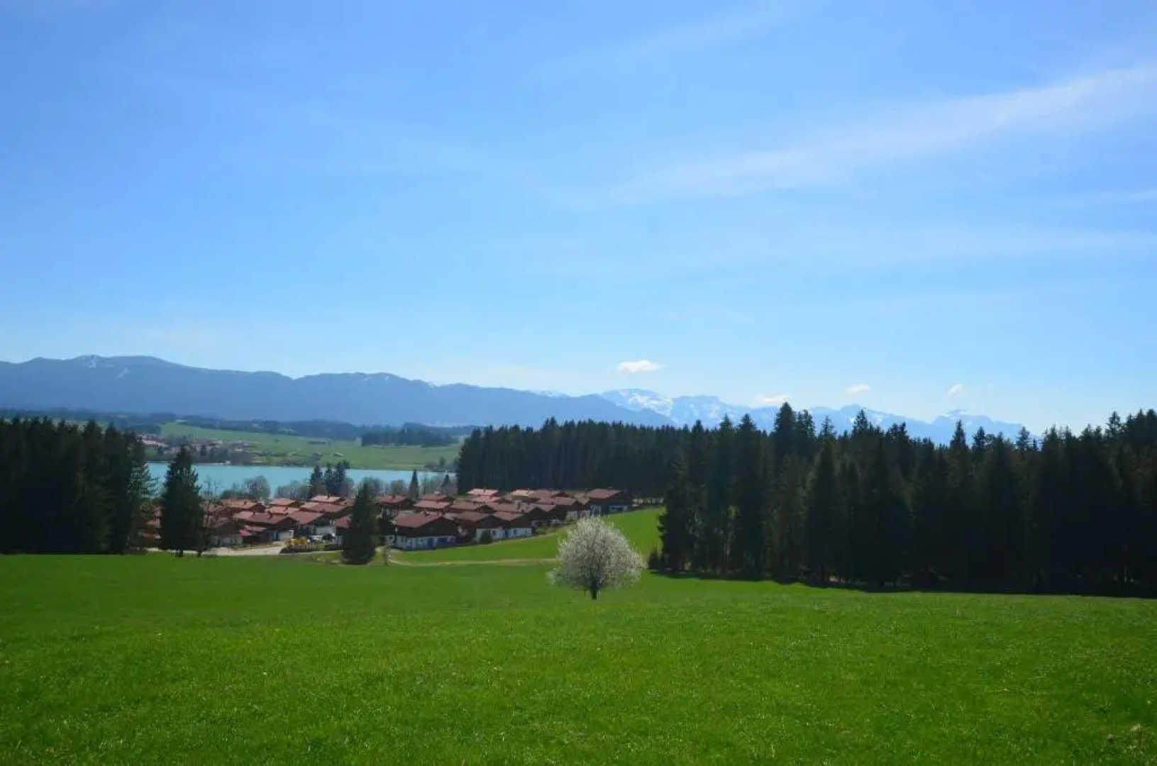 Feriendorf Via Claudia Haus 78 Platzhirsch