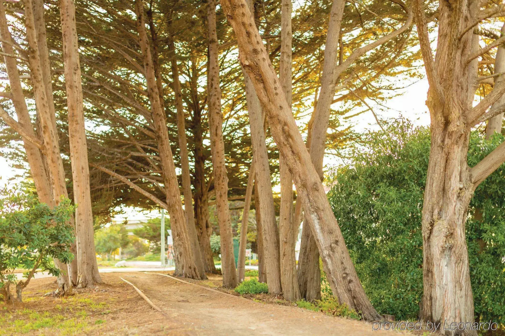 Hampton Inn Monterey