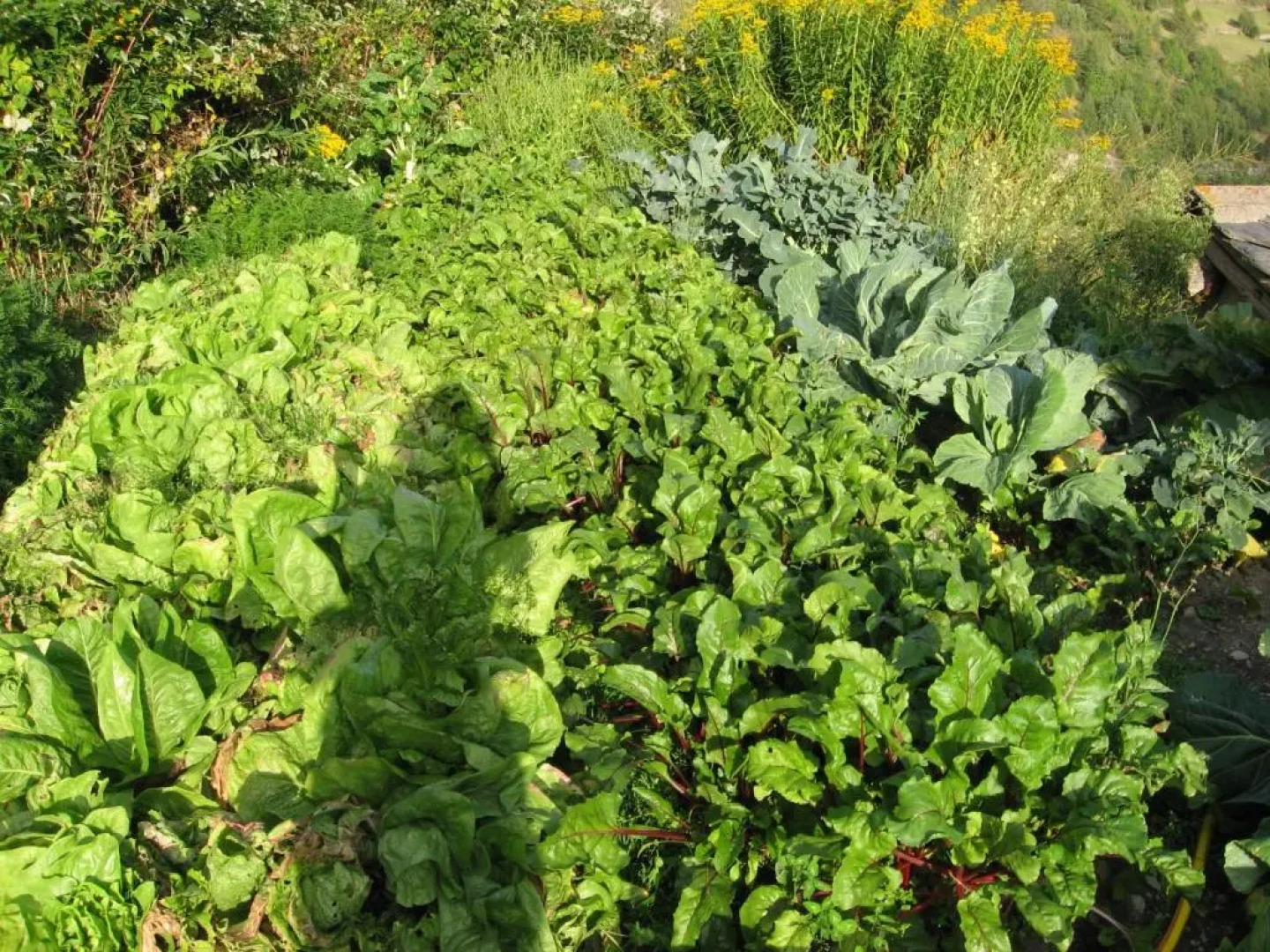 Agriturismo Lo Ratelé