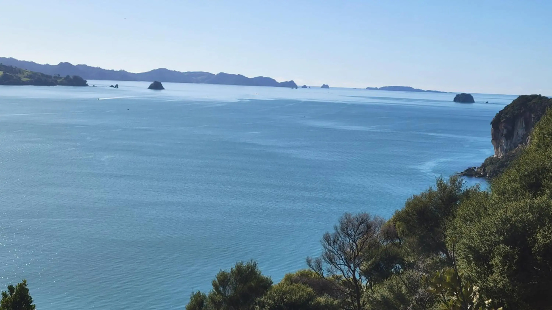 Margaritaville Hahei