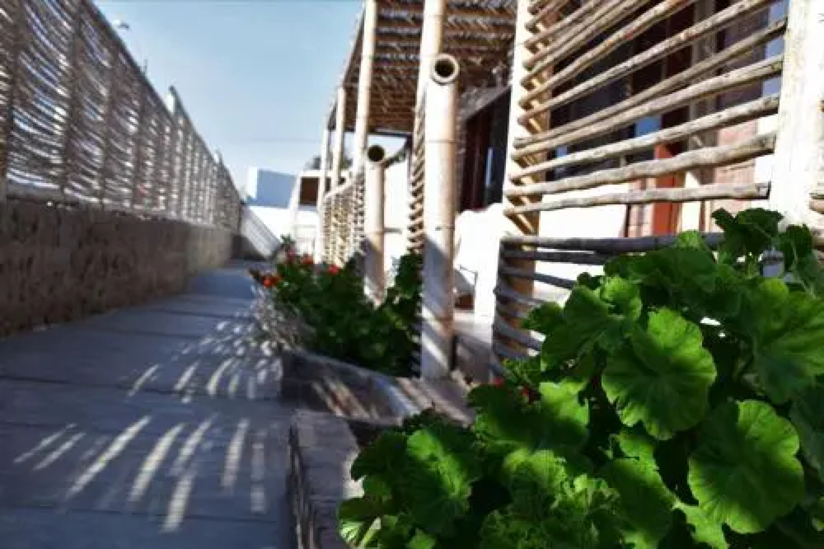 The Zarcillo Paradise