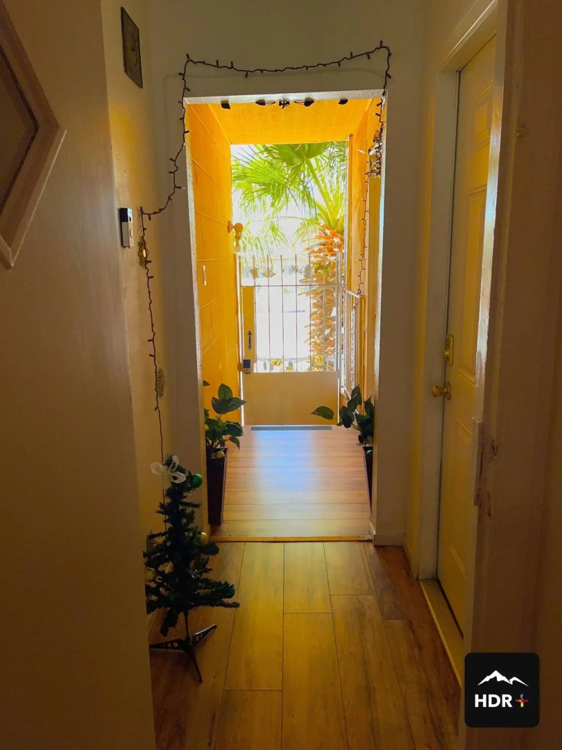 The Yellow Penthouse