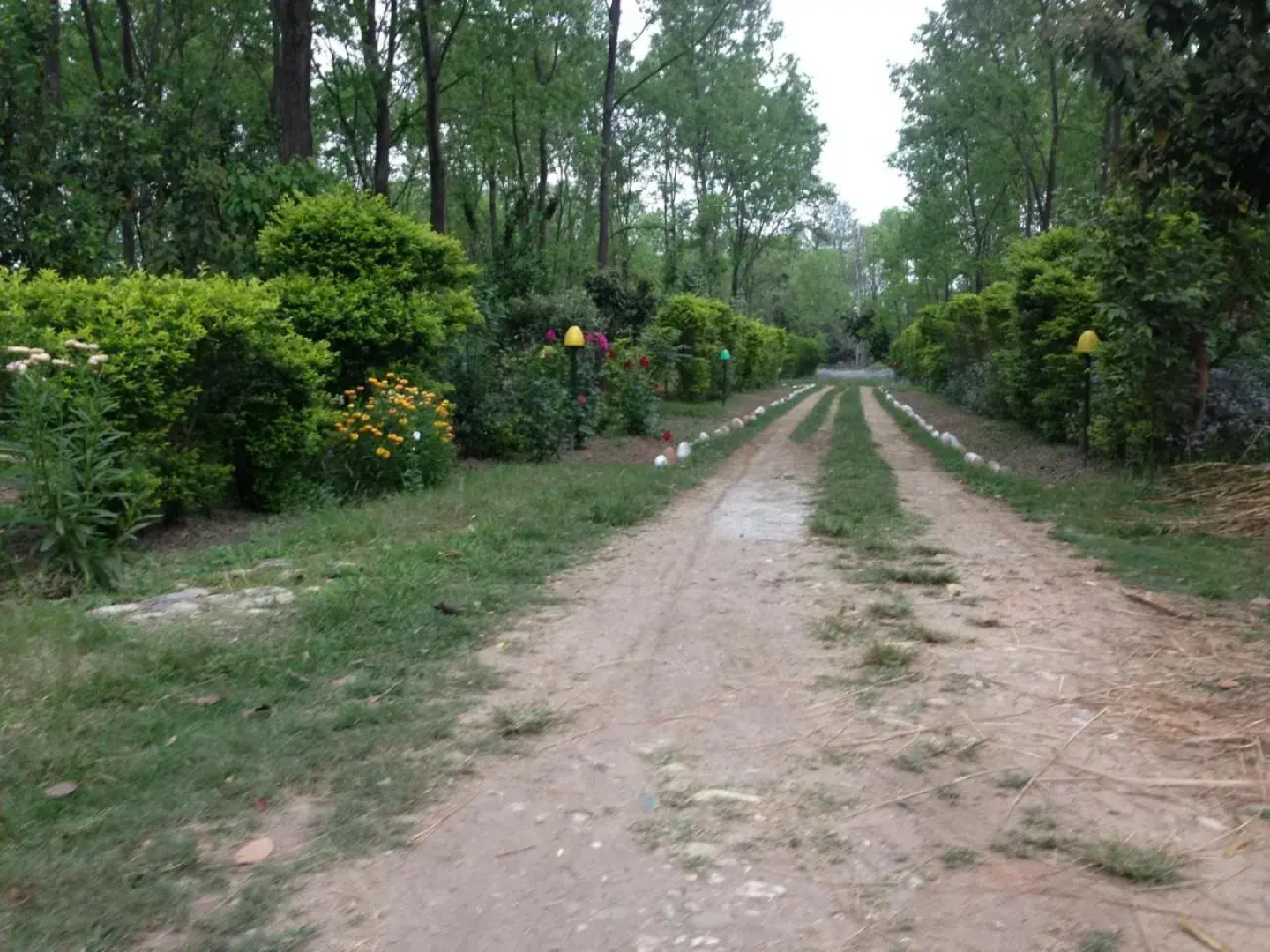 Suklaphanta Jungle Cottage