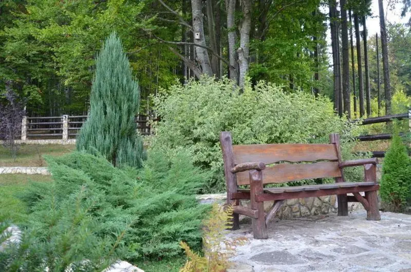 Pensiunea Gainusa de Munte