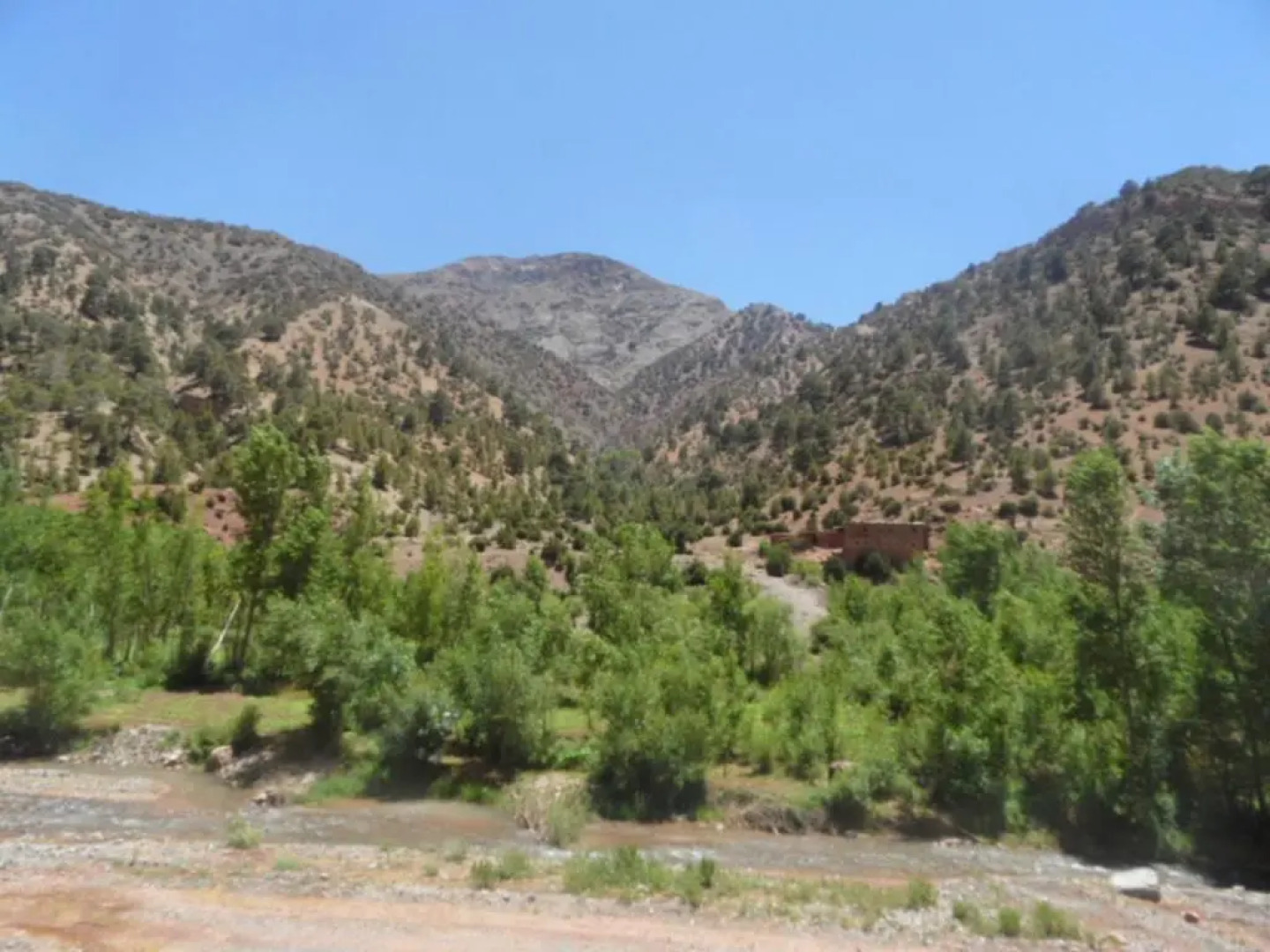 Gite Ifoulou Tassaout