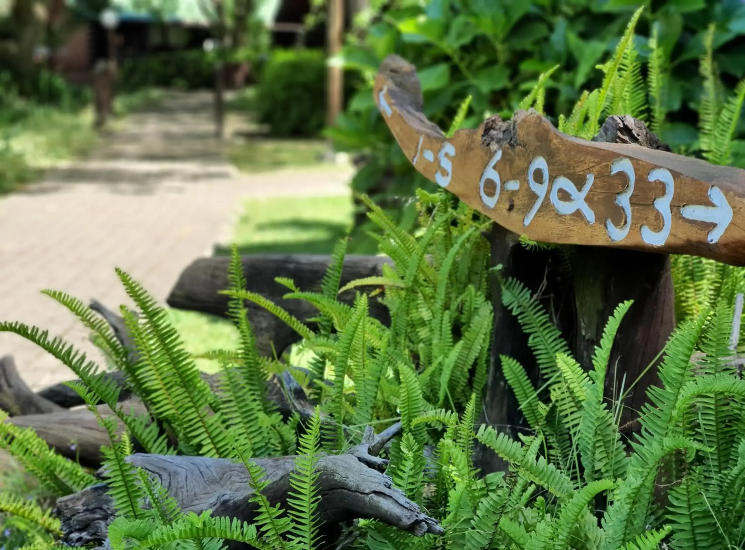 Tsitsikamma Lodge & Spa